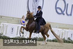 25R13_13164 thumbnail