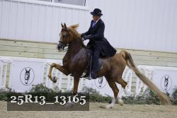 25R13_13165 thumbnail
