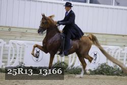 25R13_13166 thumbnail