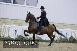 25R13_13167 thumbnail