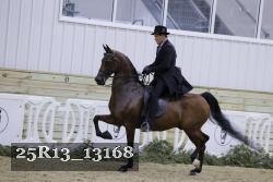 25R13_13168 thumbnail