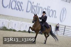 25R13_13169 thumbnail