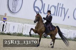 25R13_13170 thumbnail