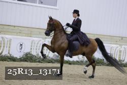 25R13_13171 thumbnail