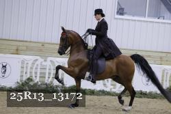 25R13_13172 thumbnail
