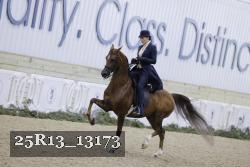 25R13_13173 thumbnail
