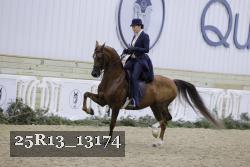 25R13_13174 thumbnail