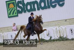 25R13_13175 thumbnail