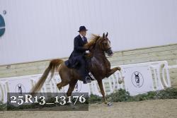 25R13_13176 thumbnail