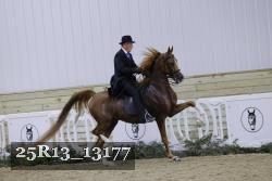 25R13_13177 thumbnail