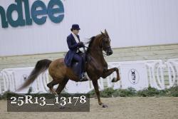 25R13_13178 thumbnail