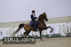 25R13_13179 thumbnail