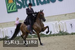 25R13_13182 thumbnail