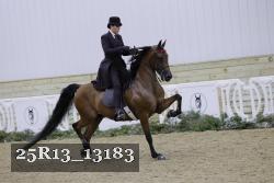 25R13_13183 thumbnail