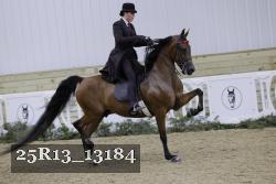 25R13_13184 thumbnail