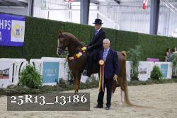 25R13_13186 thumbnail