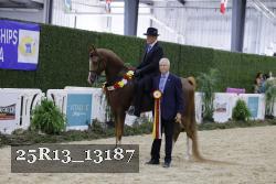25R13_13187 thumbnail