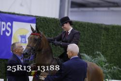 25R13_13188 thumbnail