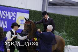25R13_13189 thumbnail
