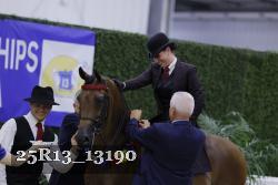25R13_13190 thumbnail