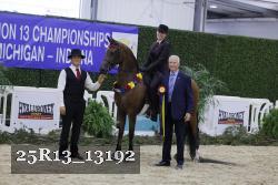25R13_13192 thumbnail