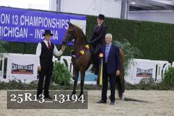 25R13_13194 thumbnail
