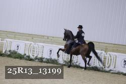 25R13_13199 thumbnail