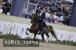 25R13_13204 thumbnail