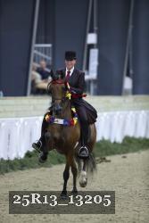 25R13_13205 thumbnail