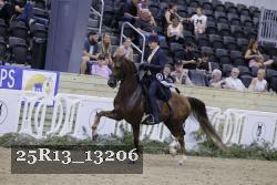 25R13_13206 thumbnail