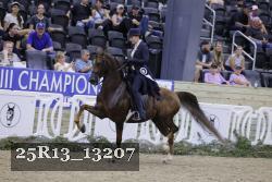 25R13_13207 thumbnail