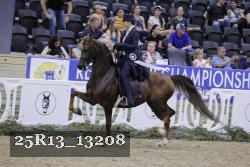 25R13_13208 thumbnail