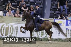 25R13_13210 thumbnail