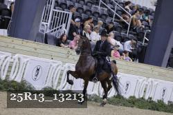 25R13_13213 thumbnail