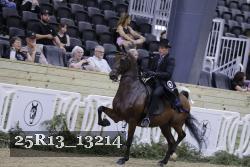 25R13_13214 thumbnail