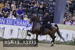 25R13_13215 thumbnail