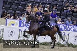 25R13_13216 thumbnail