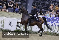 25R13_13217 thumbnail