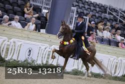 25R13_13218 thumbnail