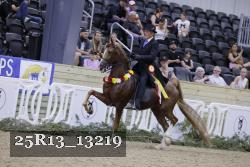 25R13_13219 thumbnail