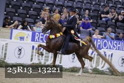 25R13_13221 thumbnail