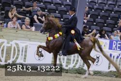 25R13_13222 thumbnail