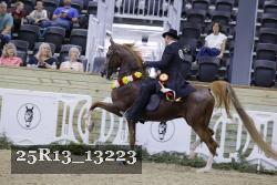 25R13_13223 thumbnail