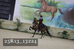 25R13_13224 thumbnail