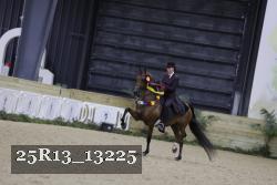 25R13_13225 thumbnail