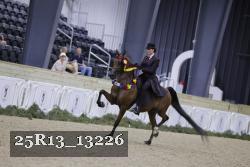 25R13_13226 thumbnail