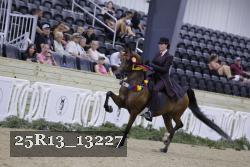 25R13_13227 thumbnail