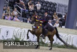 25R13_13228 thumbnail