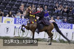 25R13_13229 thumbnail