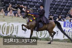 25R13_13230 thumbnail